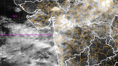 Monsson News : राज्यातील कोणत्या भागांत मुसळधार पावसाचा इशारा, पुणे जिल्ह्यात कुठे पडला सर्वात जास्त पाऊस