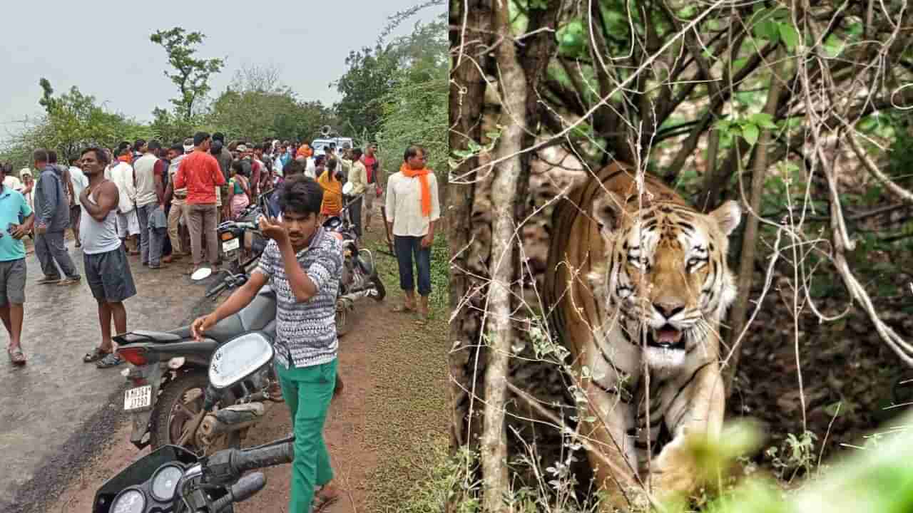 वनकर्मचारी-गावकऱ्यांचा संघर्ष शिगेला; वनाधिकाऱ्यांवरील प्राणघातक हल्ल्यानंतर...