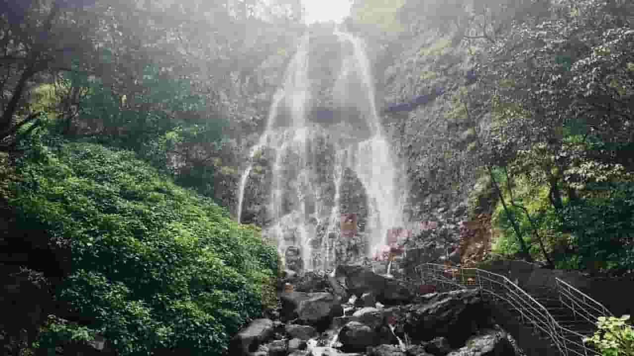 VIDEO : पाऊस आला, बरलसा अन् त्याच्यासोबतच ‘हा’ धबधबाही खळाळला..! VIDEO : पाऊस आला, बरलसा अन् त्याच्यासोबतच ‘हा’ धबधबाही खळाळला..!
