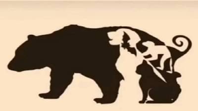 या चित्रात एकूण किती प्राणी आहेत?