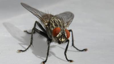 देशातील या गावात होत नाहीये तरुणांचं लग्न, मुलगी देण्यास नकार! कारण वाचून थक्क व्हाल...