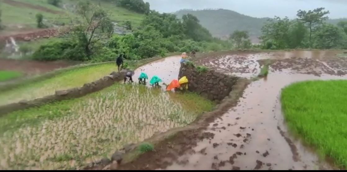 Rain : कोणत्या जिल्ह्यांना ऑरेंज अलर्ट?, पुणे, मुंबईत कसा असणार पाऊस