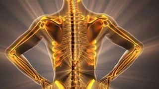 Vitamin For Bones: हे व्हिटॅमिन देते हाडांना प्रचंड ताकद, आजच आहारात समाविष्ट करून घ्या!