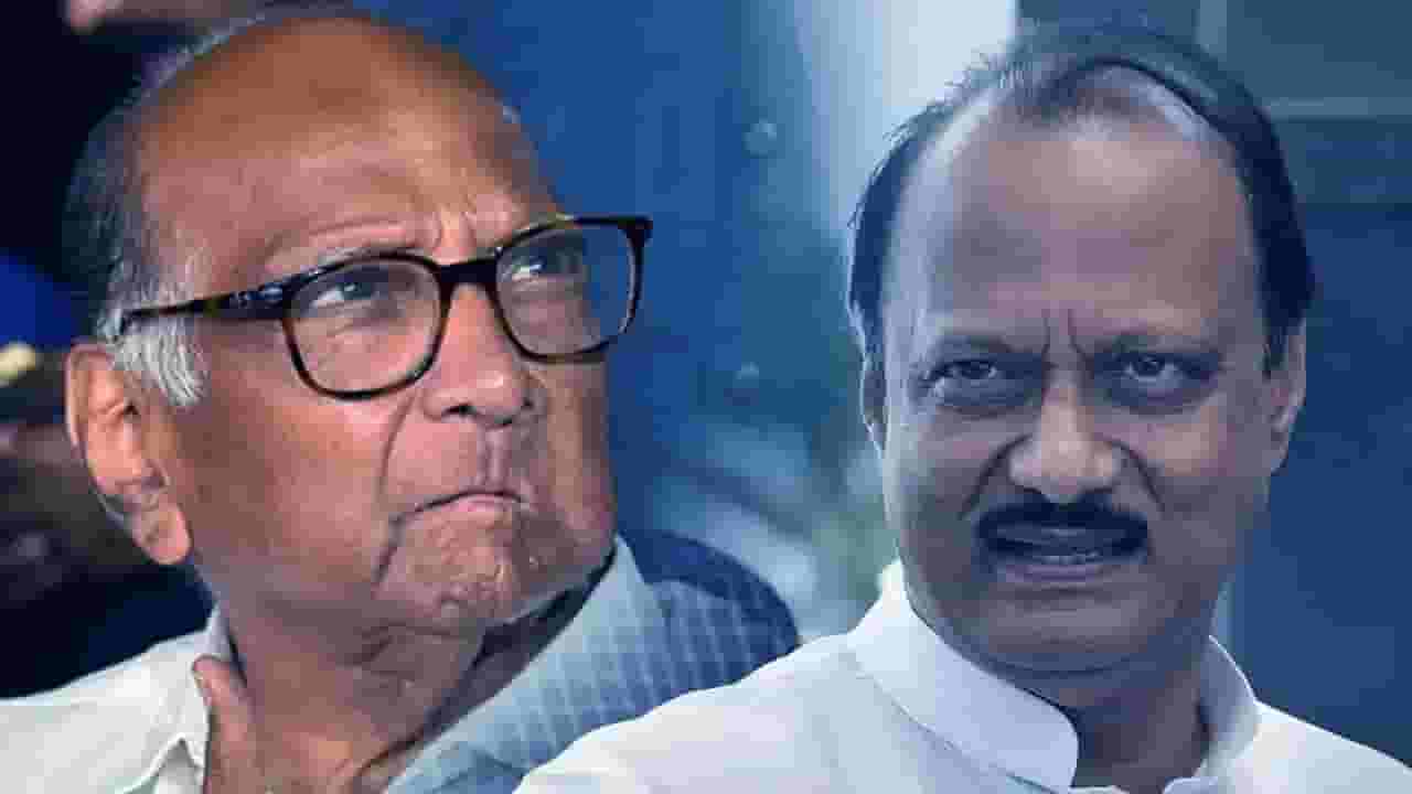 महाराष्ट्रात पुन्हा एकदा येरे माझ्या मागल्या, राष्ट्रवादीतील बंडावर उज्ज्वल निकम म्हणतात...