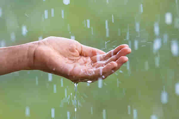 Rain Alert : या विकेण्डला पुन्हा पावसाचे कमबॅक, येथे दमदार हजेरी