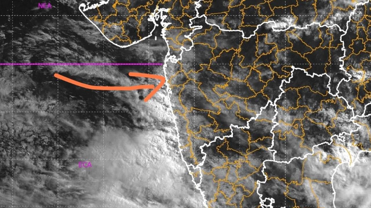 Rain : राज्यात आतापर्यंत कसा झाला पाऊस, जुलै महिन्यातील काय आहे आयएमडीचा अंदाज