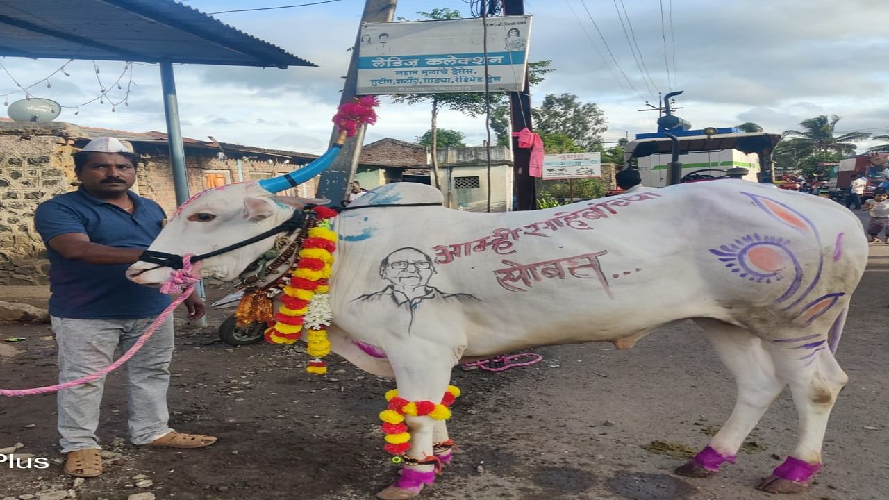  बेंदूर सणाचे औचित्य साधून बैलाच्या अंगावर अनोखी कलाकृती केली आहे. राष्ट्रवादी पक्षात फूट पडली आहे, त्यामुळे महाराष्ट्रमध्ये राजकीय वर्तुळात खळबळ माजली आहे. 