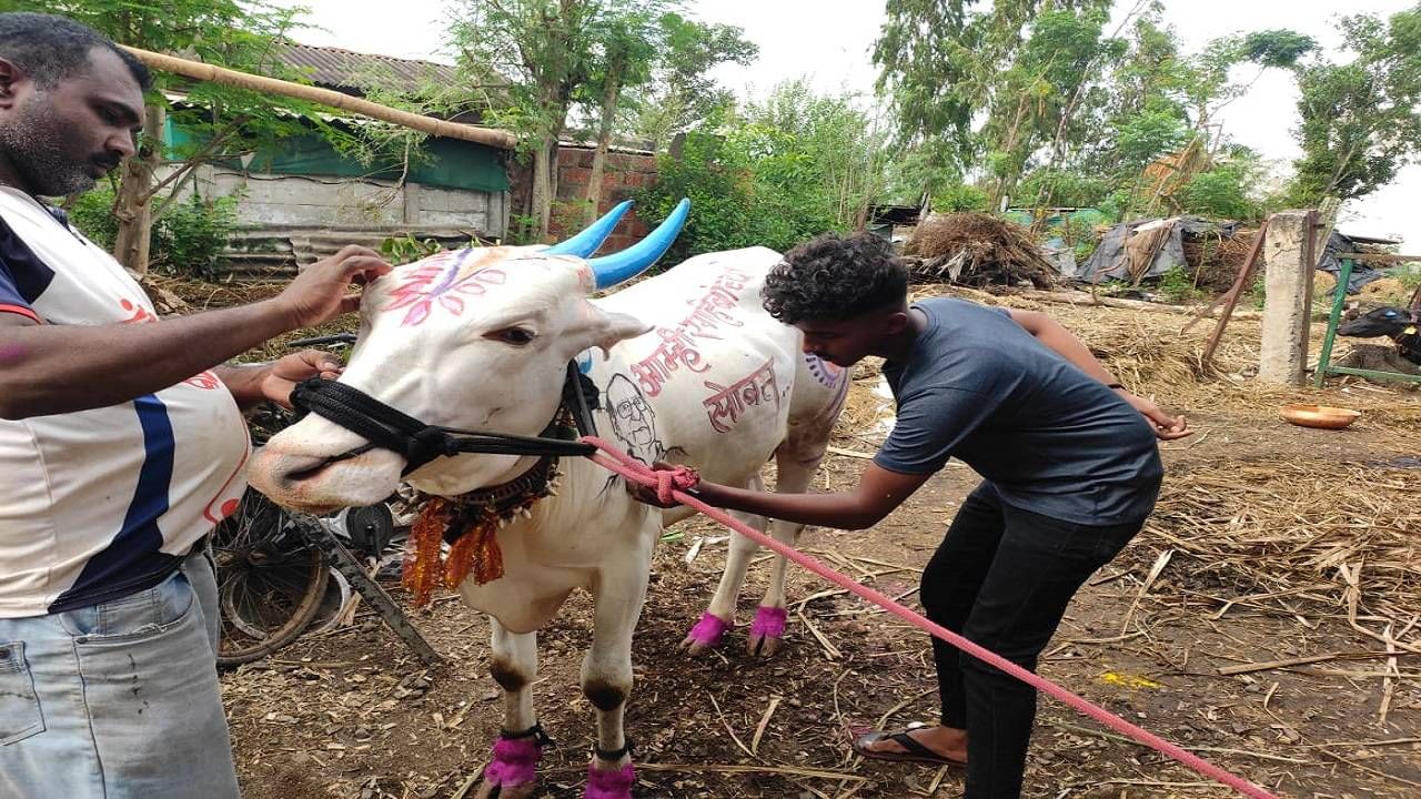 एका बाजूला विठ्ठल आणि दुसऱ्या साईडला पवार साहेबाची छबी आणि आम्ही साहेबाच्या सोबत असे लिहिले आहे.