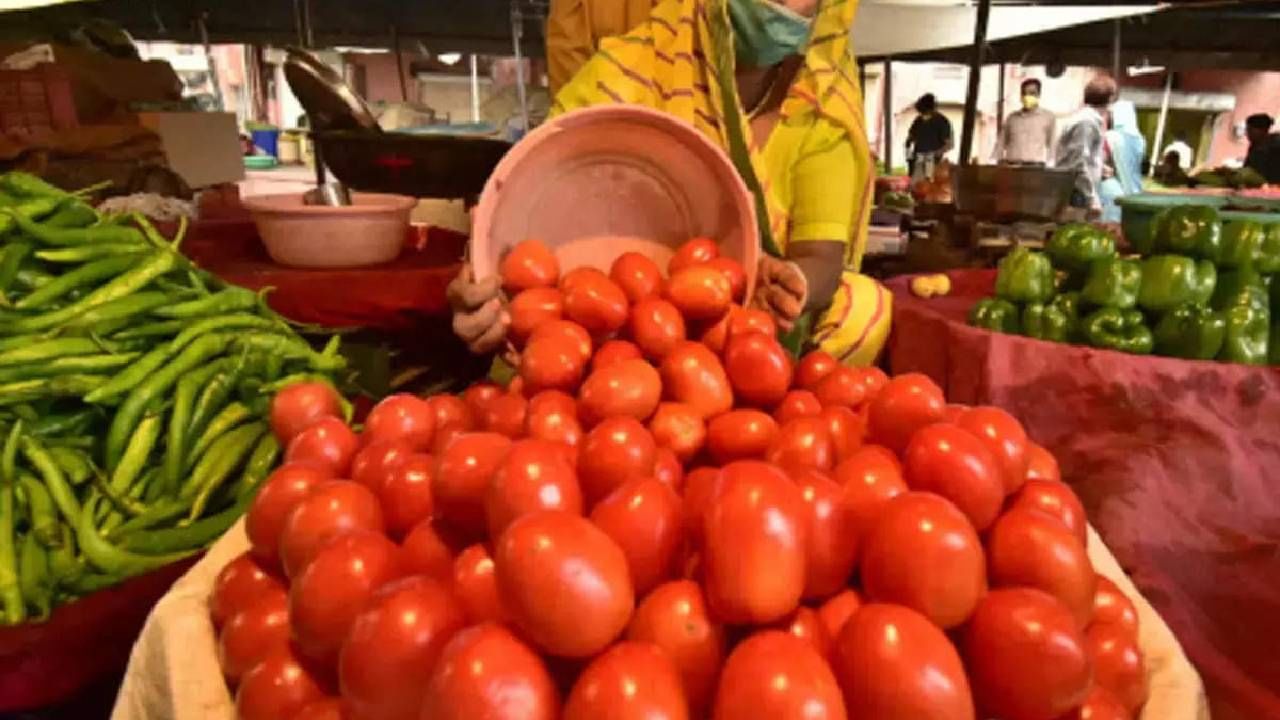 Tomato : देशातील भाजीमंडईत पाकिस्तानसारखी परिस्थिती, 120 रुपये नाही, टोमॅटोचे भाव तर आता..