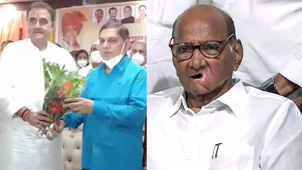 प्रफुल्ल पटेल यांच्या जवळच्या नेत्याचा शरद पवार यांना पाठिंबा, म्हणाला, नैतिकतेच्या मुद्द्यावर...