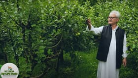 भारत-पाकिस्तान सीमेवर गोळीबारामुळे अनेक झाडे जळून खाक, जंगल वाचवण्यासाठी ते करताय प्रयत्न