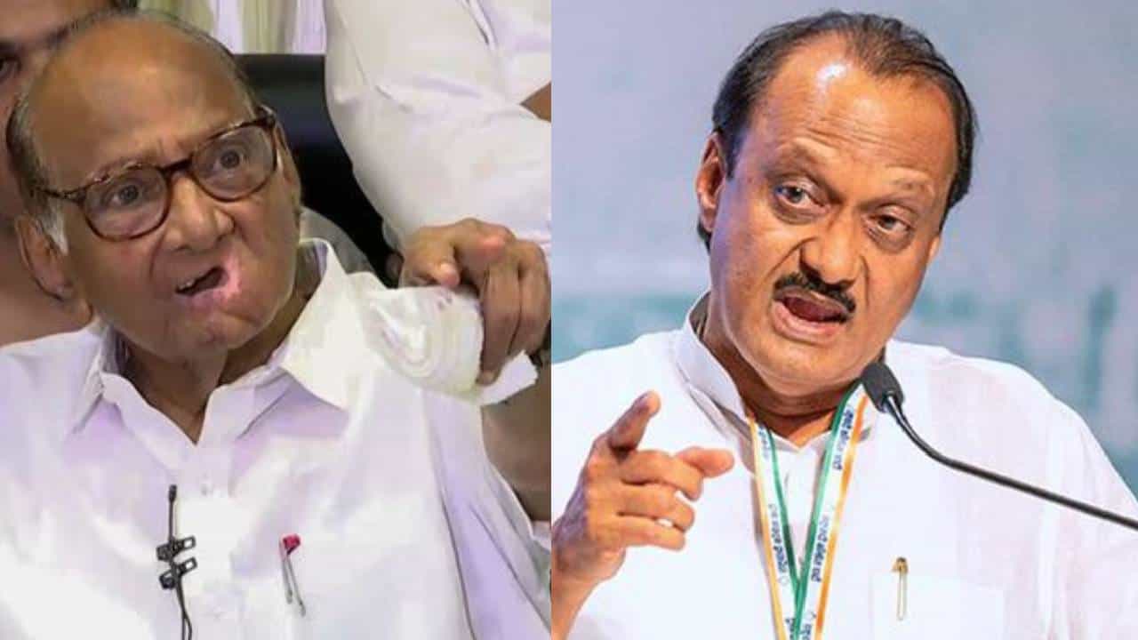 अजित पवार की शरद पवार? खरा ‘राष्ट्रवादी’ कोण? विधानसभा अध्यक्ष राहुल नार्वेकर म्हणतात…