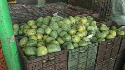 या राज्यातील आंबा महाराष्ट्रात विक्रीसाठी, व्यापाऱ्यांनी सांगितलं कारण