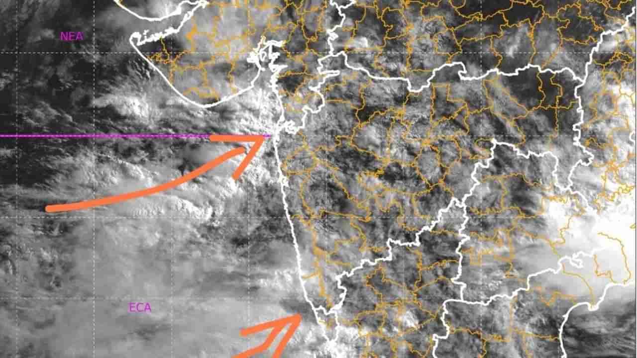 Rain : राज्यात पावसाचा काय आहे अंदाज, कोणत्या जिल्ह्यास यलो अलर्ट, कोणाला ऑरेंज अलर्ट