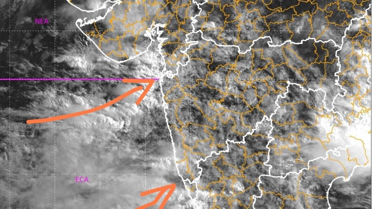 Rain : राज्यात पावसाचा काय आहे अंदाज, कोणत्या जिल्ह्यास यलो अलर्ट, कोणाला ऑरेंज अलर्ट