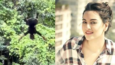 Sonakshi Sinha | सोनाक्षी सिन्हा हिच्यासोबत जंगलामध्ये घडली दुर्घटना, अभिनेत्रीने थेट