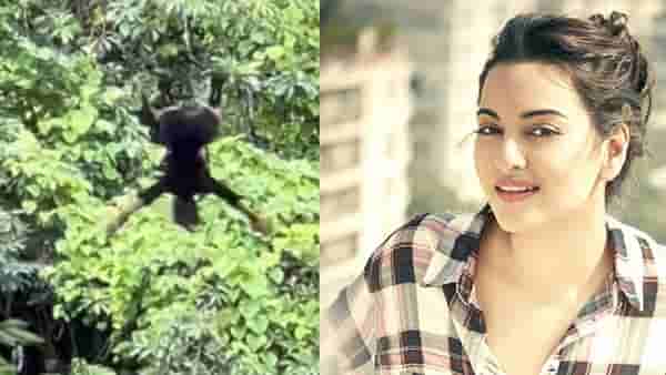 Sonakshi Sinha | सोनाक्षी सिन्हा हिच्यासोबत जंगलामध्ये घडली दुर्घटना, अभिनेत्रीने थेट