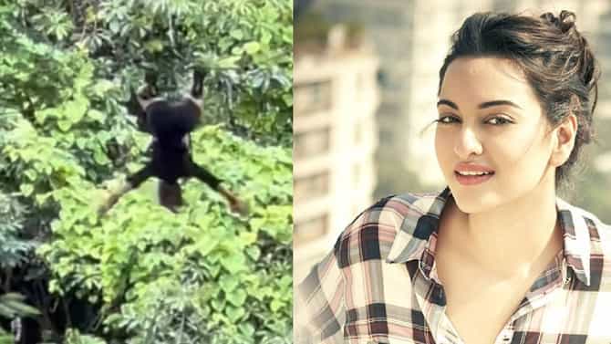 Sonakshi Sinha | सोनाक्षी सिन्हा हिच्यासोबत जंगलामध्ये घडली दुर्घटना, अभिनेत्रीने थेट