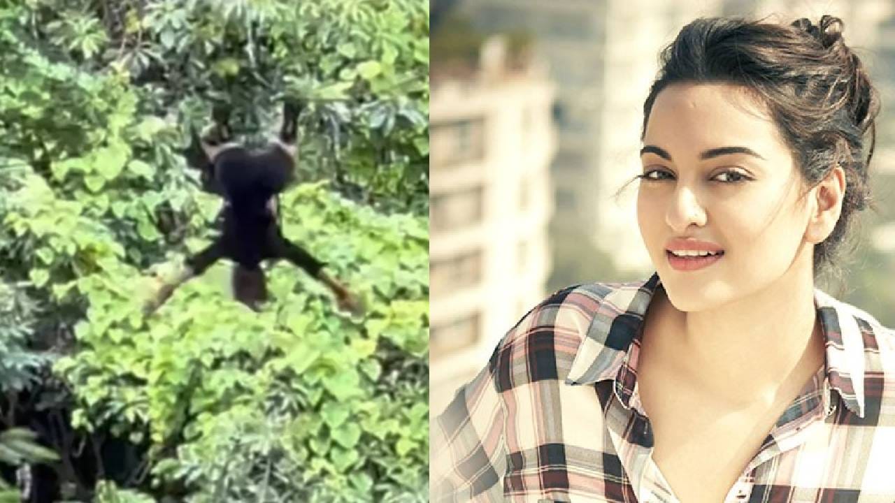 Sonakshi Sinha | सोनाक्षी सिन्हा हिच्यासोबत जंगलामध्ये घडली दुर्घटना, अभिनेत्रीने थेट