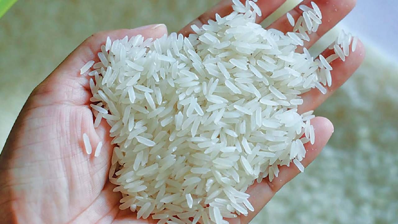 Rice Price : घरातल्या भाताला महागाईची फोडणी, टोमॅटो, डाळीनंतर तांदळाचा नंबर