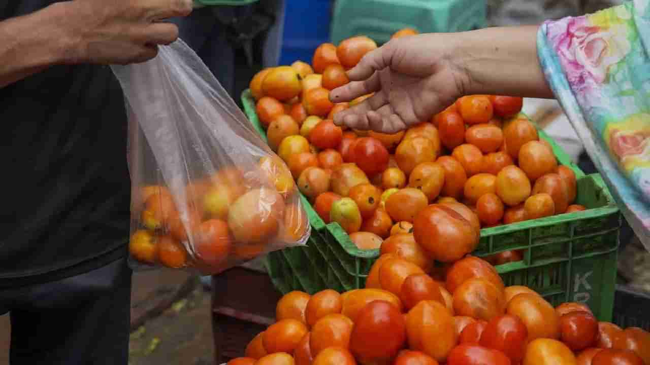 Tomato Price : टोमॅटो घ्या अर्ध्या किंमतीत! भाव इतका स्वस्त, या राज्य सरकारवर कौतुकाचा वर्षाव