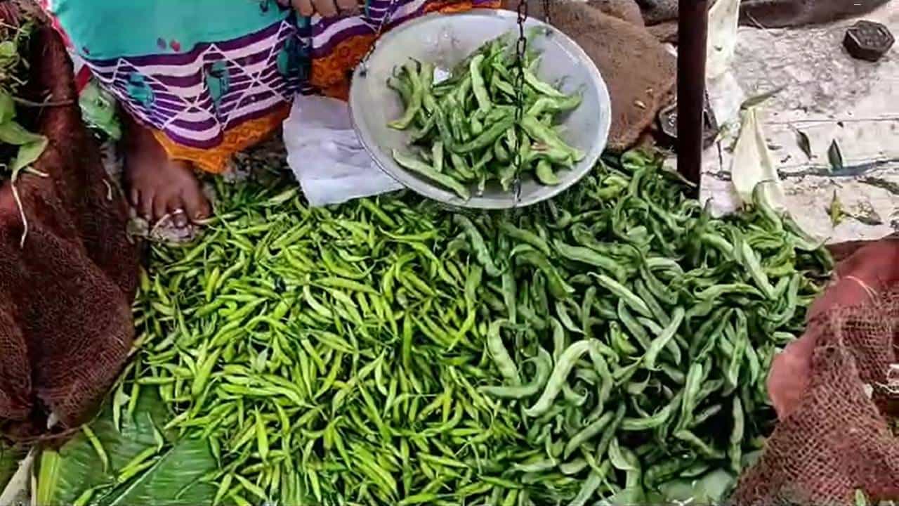 भाजीपाल्याचे उत्पादन घसरल्याचं पाहायला मिळत आहे. खरिप हंगामासाठी शेतकऱ्यांनी भाजीपाला लागवड केलेली नाही. यामुळे बाजारातील आवक कमी होऊन भाजीपाल्याचे दर वाढले आहेत.
