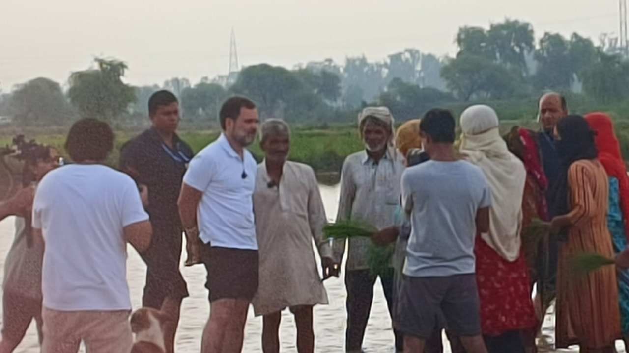 हरियाणामधल्या सोनीपतमध्ये राहुल गांधी भाताच्या शेतात गेले. तिथे त्यांनी शेतकऱ्यांसोबत वेळ घालवला.  