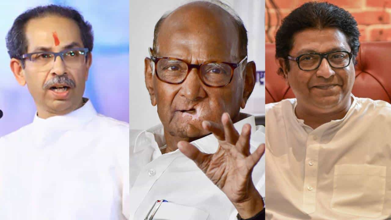ठाकरे बंधूंनी एकत्र यावंसं वाटतं का? शरद पवार म्हणाले... ठाकरे बंधूंनी एकत्र यावंसं वाटतं का? शरद पवार म्हणाले...