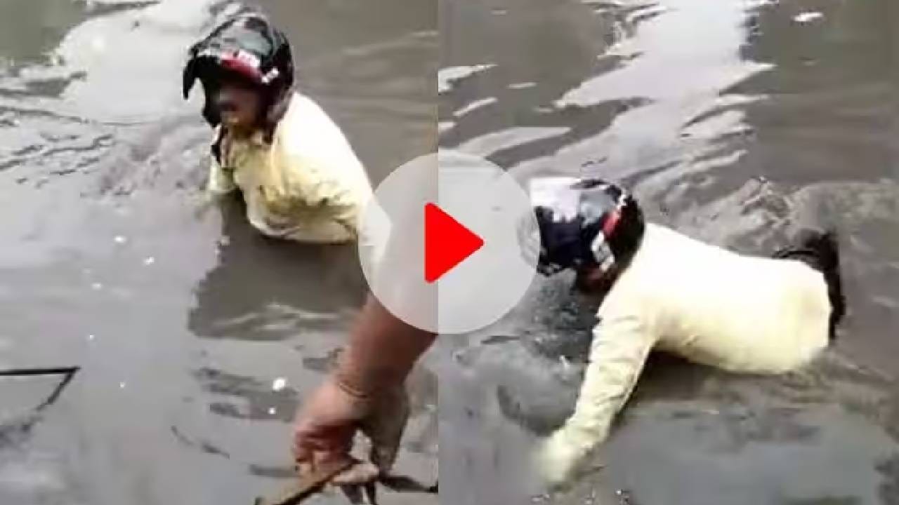 VIDEO | दिल्लीच्या नाल्यात बाईक हरवली, हेल्मेट घातलेला चालक कावराबावरा झाला