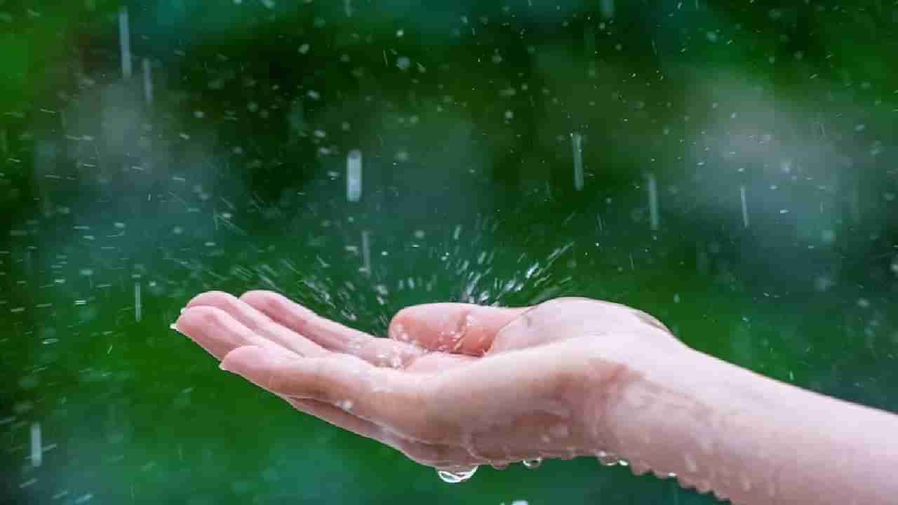 Monsoon care : डॉक्टरांचा हा सल्ला पाळाल तर पावसाळ्यात कमी आजारी पडाल