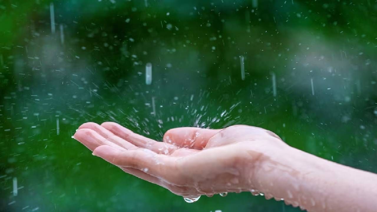 Monsoon care : डॉक्टरांचा हा सल्ला पाळाल तर पावसाळ्यात कमी आजारी पडाल