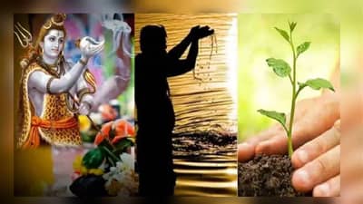 hariyali Amavashya 2023 : या तारखेला आहे हरयाली अमावस्या, राशीनुसार करा वृक्षारोपण