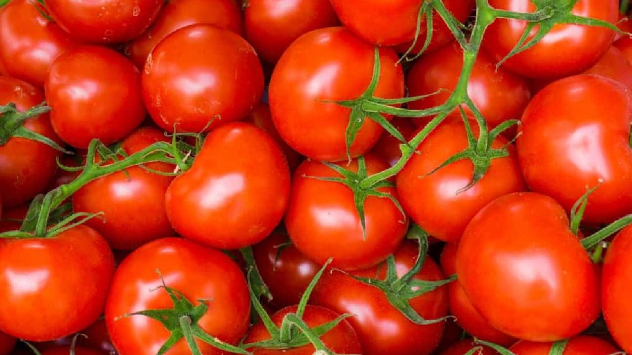 Tomato High Prices : टोमॅटोला महागाईच्या झोक्यातून उतरवणार, जनतेला दिलासा मिळणार