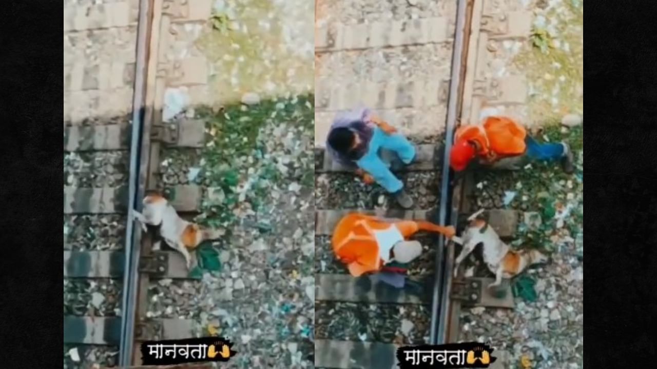 Viral Video : रेल्वेच्या रुळात अडकला कुत्र्याचा पाय, समोरून येत होती ट्रेन, मग रेल्वे कर्मचाऱ्यांनी जे केले त्याला तोड नाही