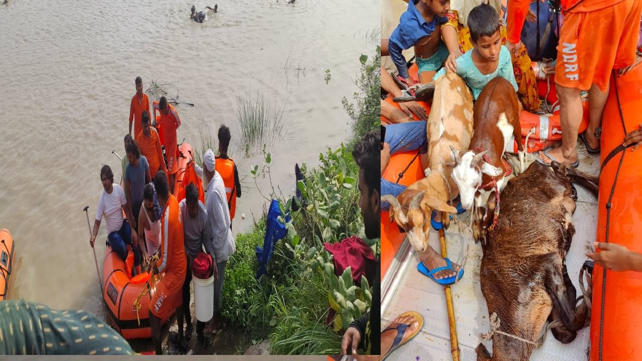  सखल भागात पाणी साचल्याने तेथील नागरिकांना स्थलांतर करावं लागत आहे. 