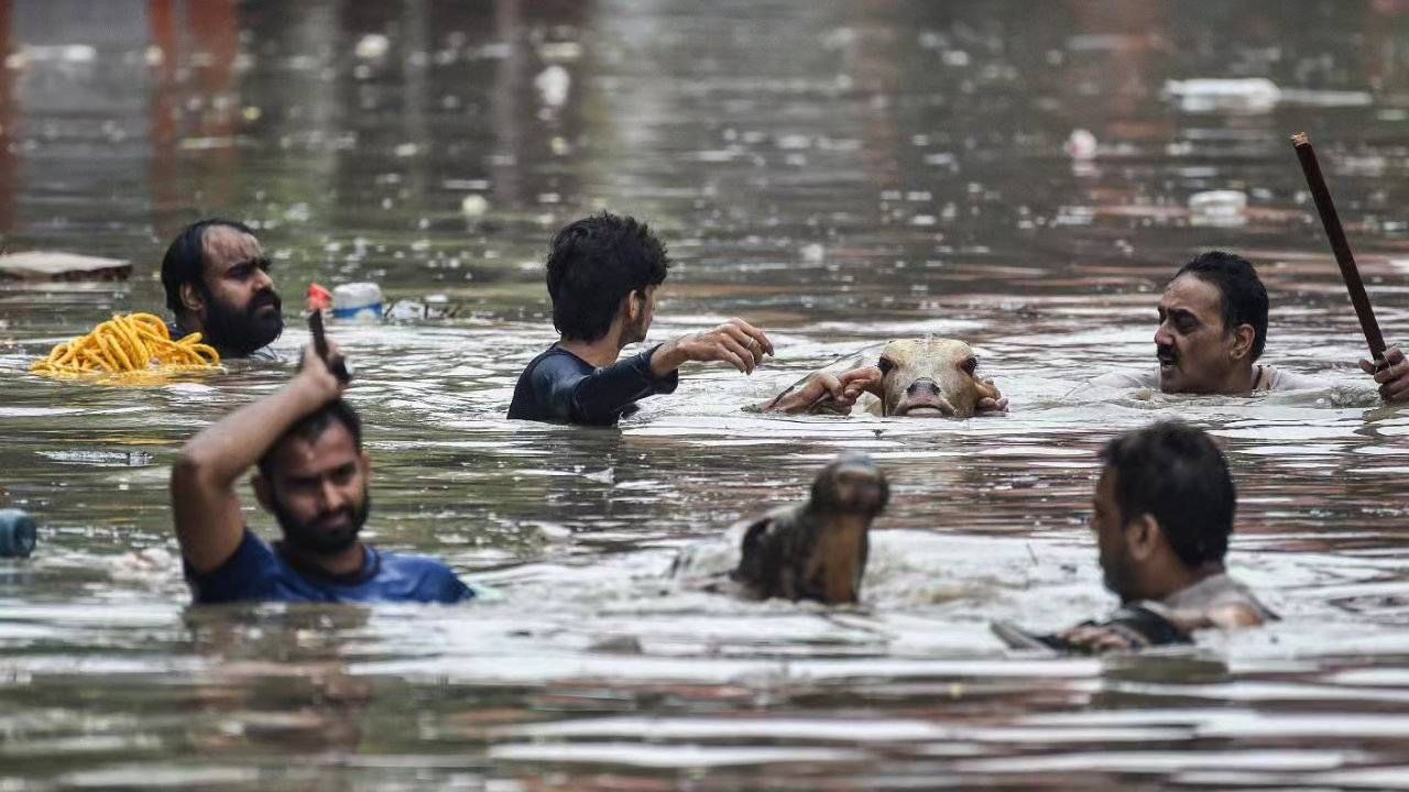 दिल्लीतील पूरामुळे परिस्थिती आणखीनच बिघडल्याचे दिसत आहे. 