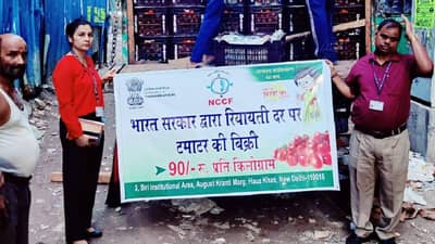 Good News | सरकार स्वस्त दरात टोमॅटो विकणार, आंध्र प्रदेश, कर्नाटक आणि महाराष्ट्रात टोमॅटो खरेदीला सुरुवात