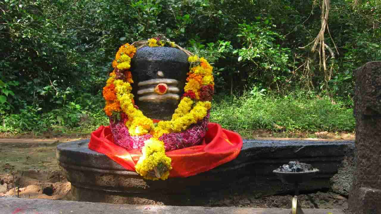 Shivratri 2023 : उद्या शिवरात्री, धनप्राप्ती आणि व्यावसाय वृद्धीसाठी अशा प्रकारे करा उपासना