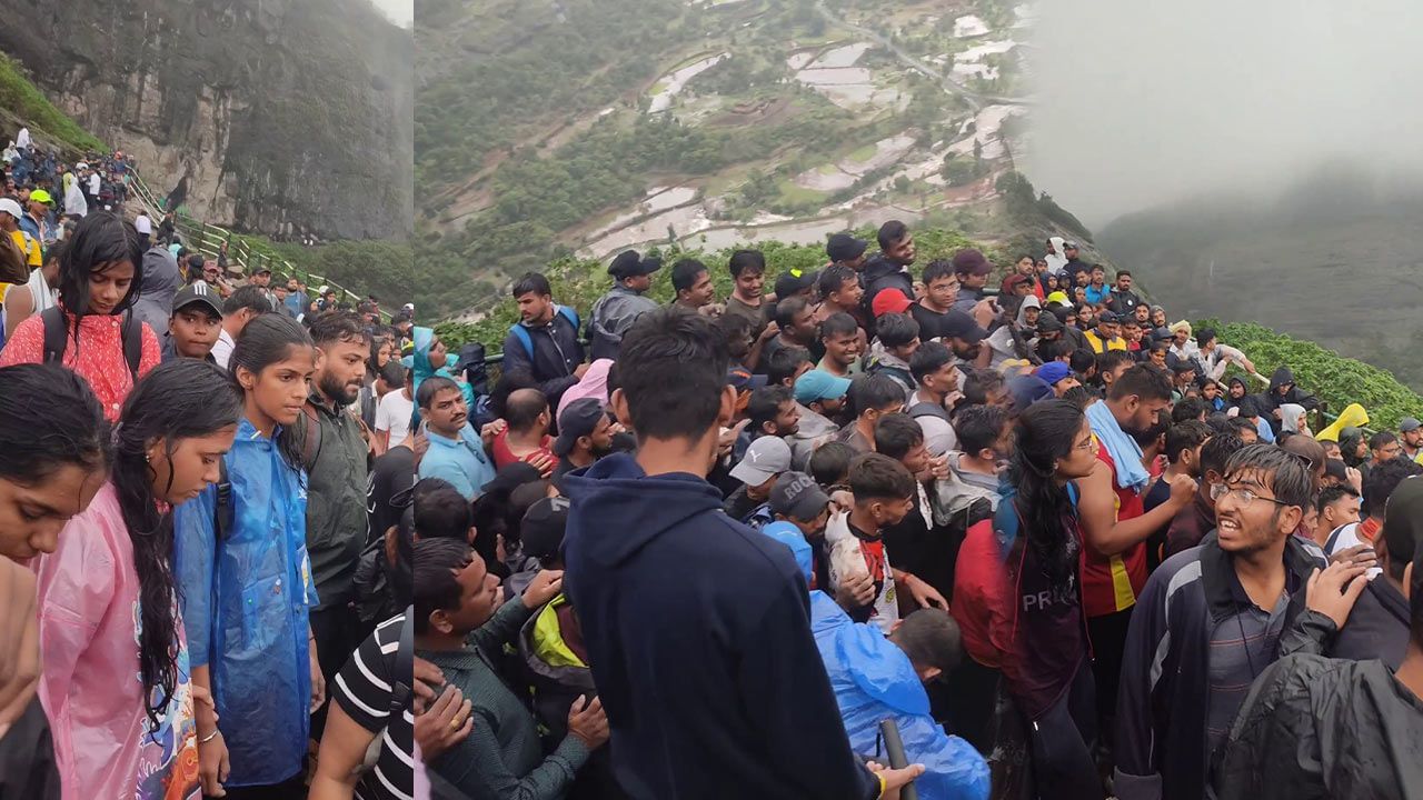 शनिवार, रविवारी या गडावर जाण्यापूर्वी हे फोटो पाहाच, मगच निर्णय घ्या शनिवार, रविवारी या गडावर जाण्यापूर्वी हे फोटो पाहाच, मगच निर्णय घ्या