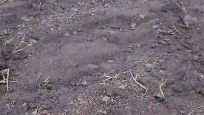 या जिल्ह्यात कोसळला ढगफुटी सदृश्य पाऊस, ३० वर्षांचा रेकॉर्ड ब्रेक