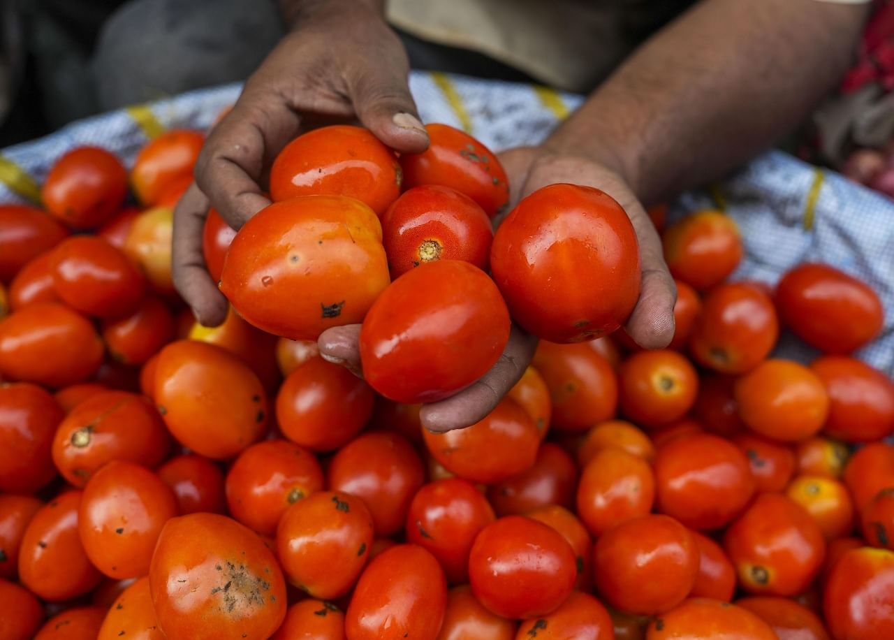 बायकोने कढीत टॉमेटो जास्त टाकले, पती मारतोय पोलिस ठाण्याच्या चकरा