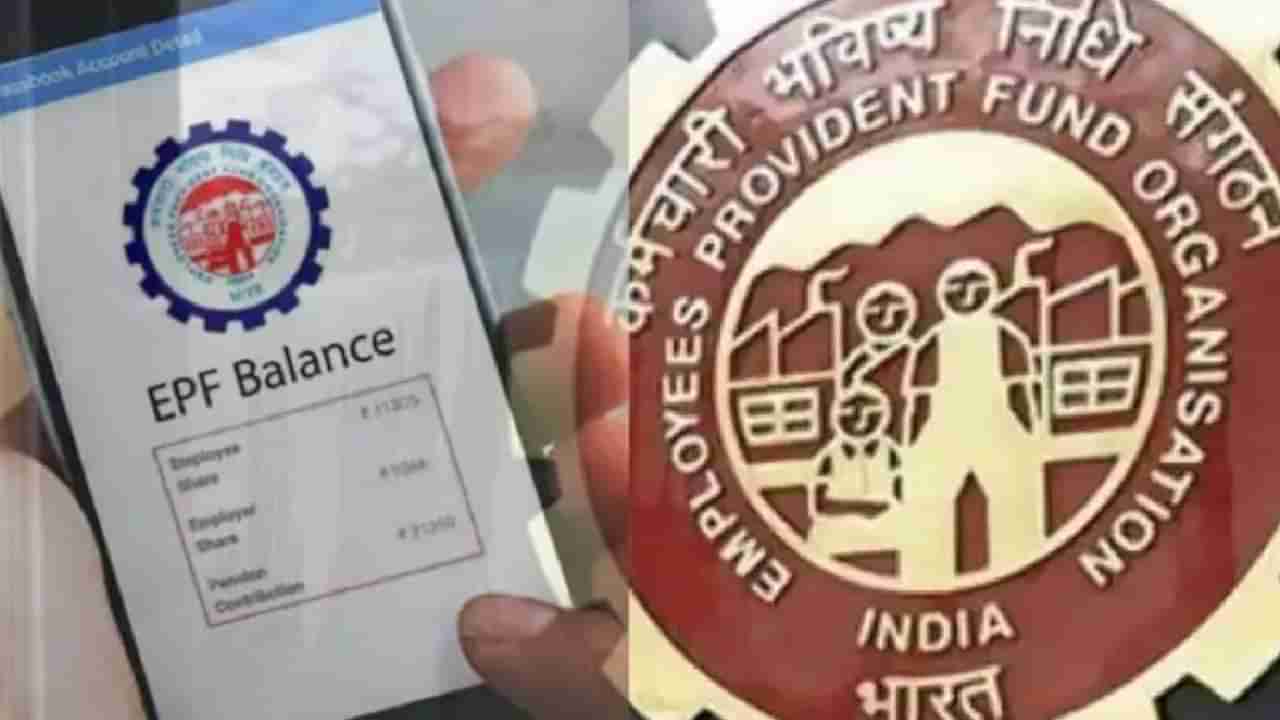 EPFO Update : ईपीएफओकडून मोठी अपडेट, एका क्लिकवर पाहा पासबुक