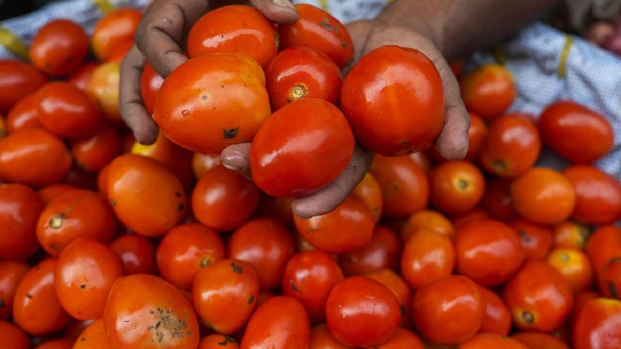 Tomato Price : दरवाढीचा राग टोमॅटोवर, इतक्या घरात नो एंट्री!