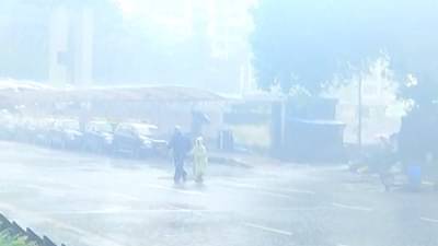 मुंबई-ठाण्यात पहाटेपासूनच पावसाची जोरदार हजेरी, विधानभवन परिसरातील शेड कोसळलं