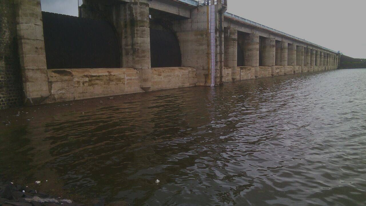 महाराष्ट्रातील धरणांची पाण्याची पातळी खालावली, ५६ धरणांनी तळ गाठला