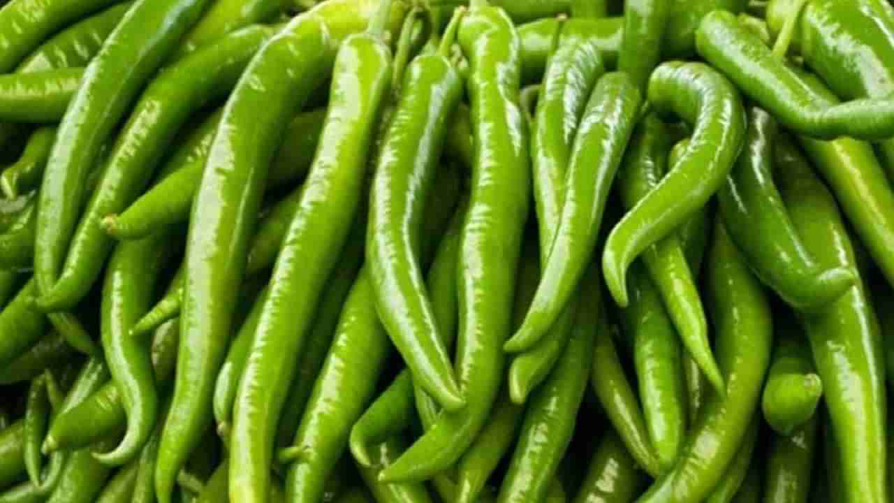 Green Chilli Benefits : वाढलेला BP ते या आजारांवर प्रभावी ठरते लवंगी मिरची, जाणून घ्या.