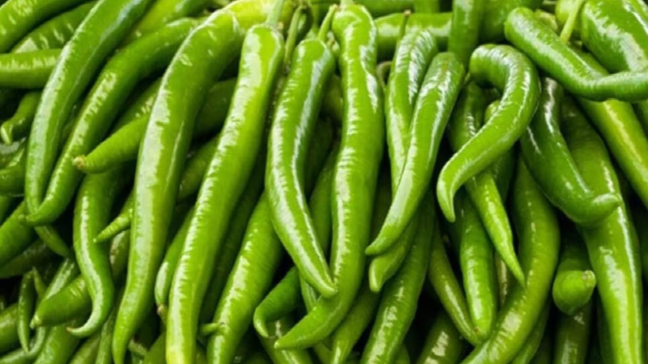 Green Chilli Benefits : वाढलेला BP ते 'या' आजारांवर प्रभावी ठरते लवंगी मिरची, जाणून घ्या.