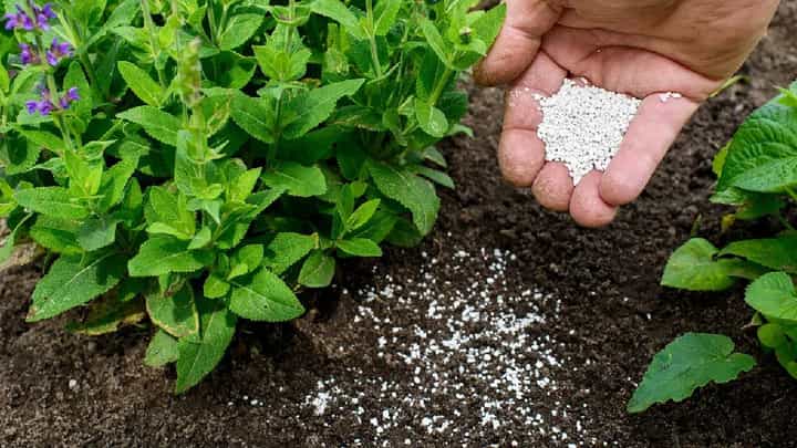 जळगावात येणार गुजरातचं खत बोगस? भाजप नेत्यानंच केला आरोप; म्हणाला, ‘हजारो शेतकऱ्यांचं नुकसान’ जळगावात येणार गुजरातचं खत बोगस? भाजप नेत्यानंच केला आरोप; म्हणाला, ‘हजारो शेतकऱ्यांचं नुकसान’