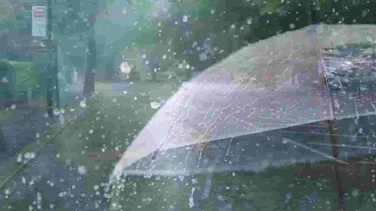 चंद्रपूरमधील शाळा, महाविद्यालयांच्या विद्यार्थ्यांना भोलानाथ पावला? अतिवृष्टीमुळे शाळा-महाविद्यालयांना कुलूप