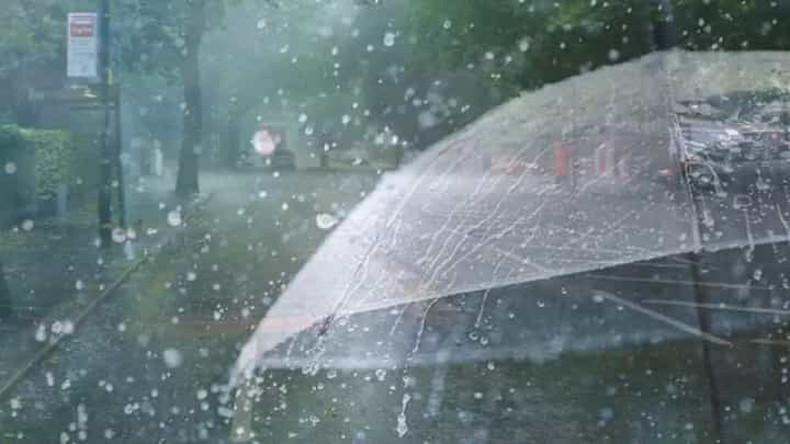 ‘या’ जिल्ह्याला मुसळधार पावसाचा इशारा; जिल्ह्यातील सर्व शाळा व महाविद्यालये आज बंद ‘या’ जिल्ह्याला मुसळधार पावसाचा इशारा; जिल्ह्यातील सर्व शाळा व महाविद्यालये आज बंद